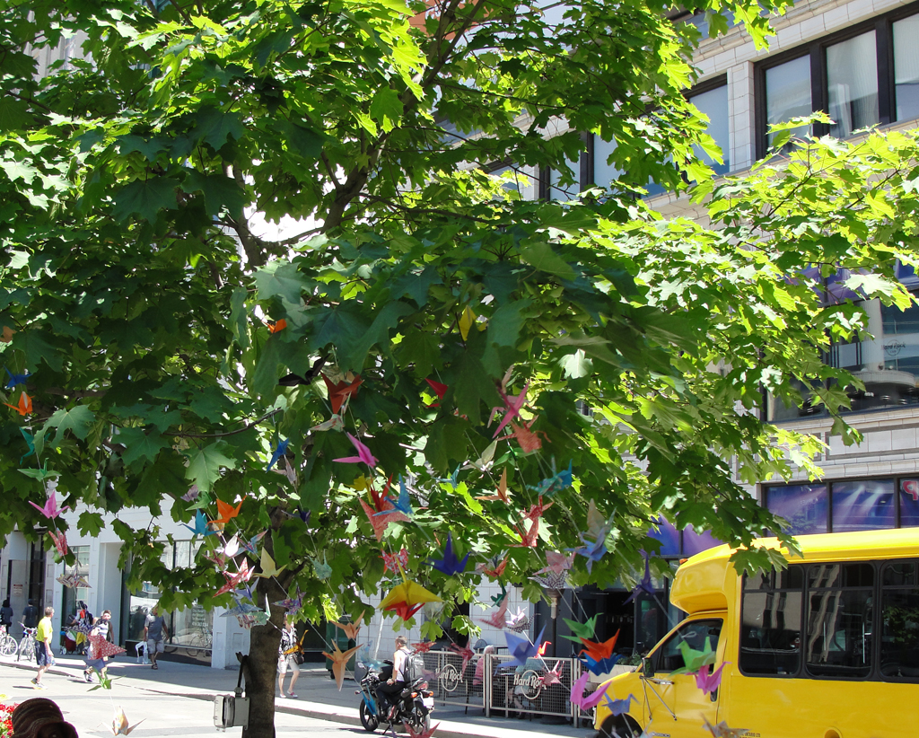 Paper Cranes Suspended from a Tree