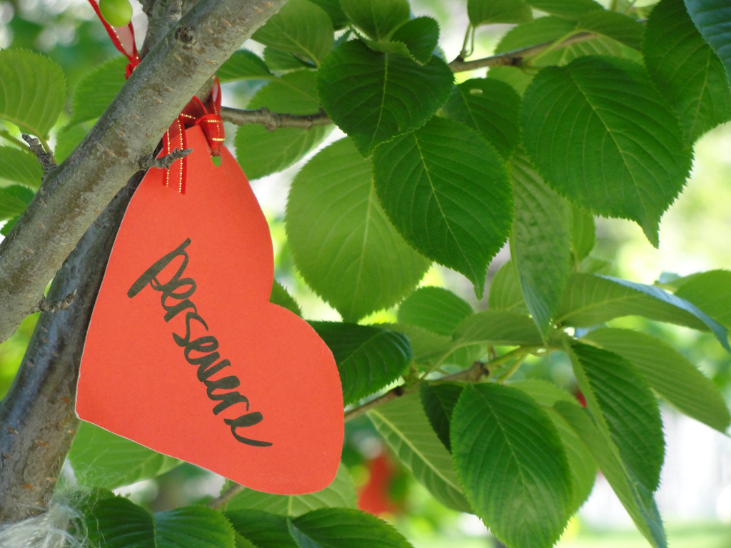 Paper hearts in a tree 2